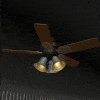  Animated Ceiling Fans 